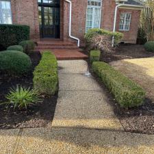 Patio and Driveway Cleaning 1